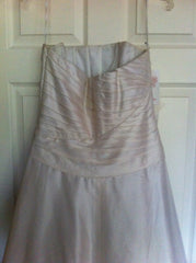 Pleated Ivory Silk Watters & Watters Gown Back Close