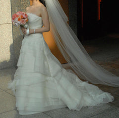 Vera Wang Luxe Kimberly Wedding Dress Organza Silk Tiered Raw Edge Lace Strapless Luxe Side Wide