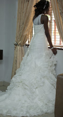 Pronovias Alga Silk Organza Mermaid Wedding Dress