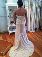 Ivy & Aster Violet Strapless Wedding Gown Back Wide