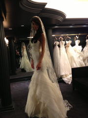 Vera Wang Fawn Organza and Lace Dress